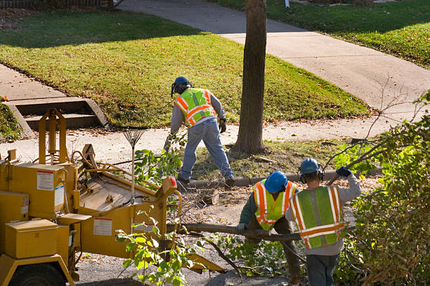 Best Lawn Grading and Leveling  in Pleasant Hill, CA